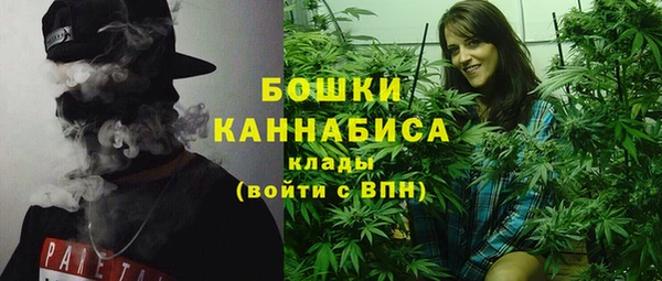 гидра Арсеньев