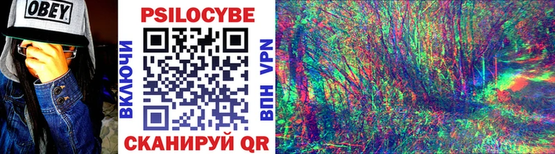 Галлюциногенные грибы Psilocybine cubensis  Георгиевск 
